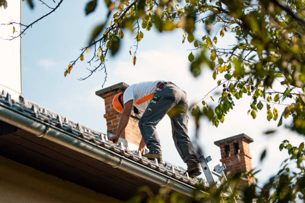 Best Roof Maintenance Services  in Valley City, ND